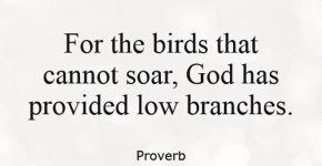 for-the-birds-that-cannot-soar-god-has-provided-low-branches-quote-1